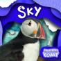 Sky - Preview