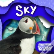 Capa do artigo Sky