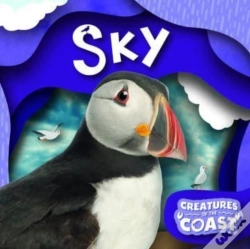 Capa do artigo Sky
