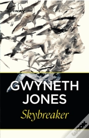 Capa do artigo Skybreaker