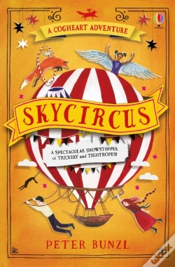 Capa do artigo Skycircus
