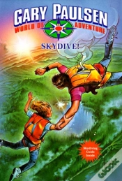 Capa do artigo Skydive