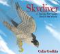 Skydiver - Preview