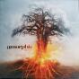 Skyforger - Vinil - Preview