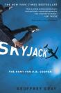 Skyjack - Preview