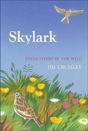 Skylark - Preview