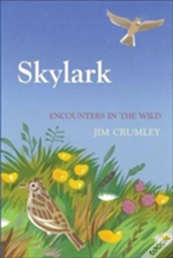 Capa do artigo Skylark