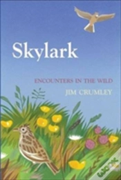 Capa do artigo Skylark
