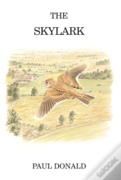 Skylark