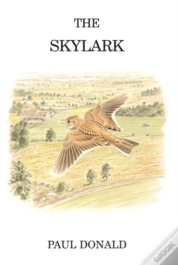Capa do artigo Skylark