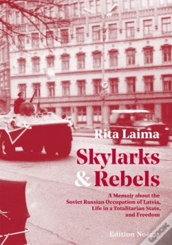 Capa do artigo Skylarks And Rebels