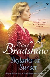 Capa do artigo Skylarks At Sunset