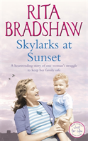 Skylarks At Sunset - Preview