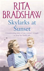 Capa do artigo Skylarks At Sunset