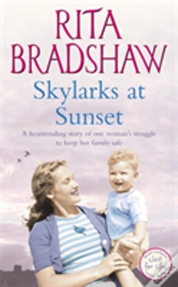Capa do artigo Skylarks At Sunset