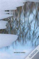 Skylight