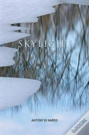Capa do artigo Skylight