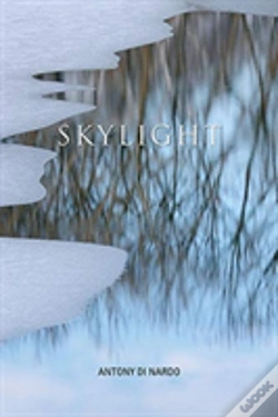 Capa do artigo Skylight