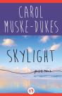 Skylight - Preview