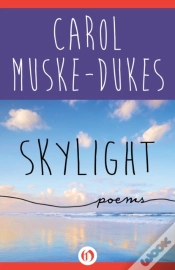 Capa do artigo Skylight