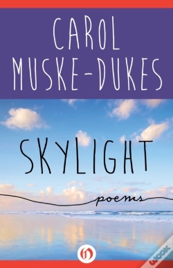 Capa do artigo Skylight