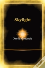 Capa do artigo Skylight