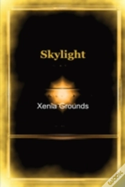 Capa do artigo Skylight