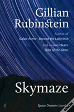 Capa do artigo Skymaze