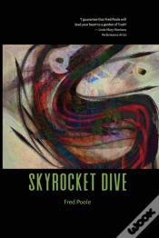 Capa do artigo Skyrocket Dive
