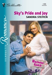 Capa do artigo Sky