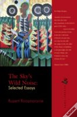 Capa do artigo Skys Wild Noise