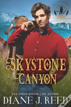 Capa do artigo Skystone Canyon