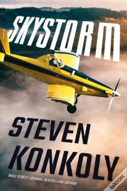 Capa do artigo Skystorm