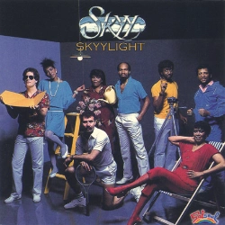 Capa do artigo Skyylight - CD