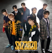 Capa do artigo SKZ2020 - CD