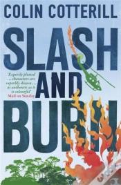 Capa do artigo Slash And Burn