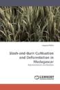 Slash-And-Burn Cultivation And Deforestation In Madagascar - Preview