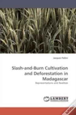 Capa do artigo Slash-And-Burn Cultivation And Deforestation In Madagascar