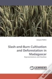 Capa do artigo Slash-And-Burn Cultivation And Deforestation In Madagascar