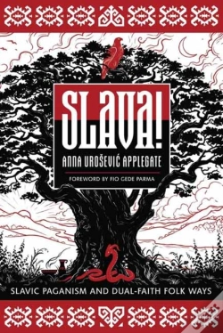 Capa do artigo Slava!