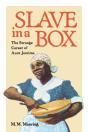 Slave In A Box - Preview