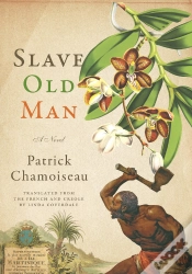 Capa do artigo Slave Old Man