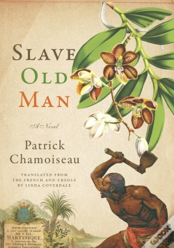 Capa do artigo Slave Old Man