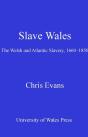 Slave Wales - Preview