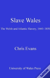 Capa do artigo Slave Wales