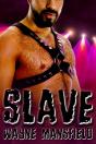 Slave - Preview