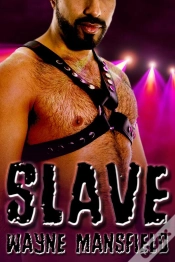Capa do artigo Slave
