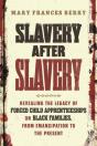 Slavery After Slavery - Preview