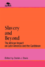 Slavery And Beyond - Preview