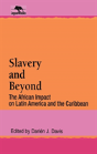 Slavery And Beyond - Preview
